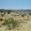 04-Namibia-2003