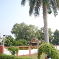 Sarnath 07