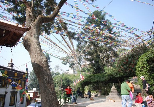 Buddhapark-Swyambhunath-Stupa 15