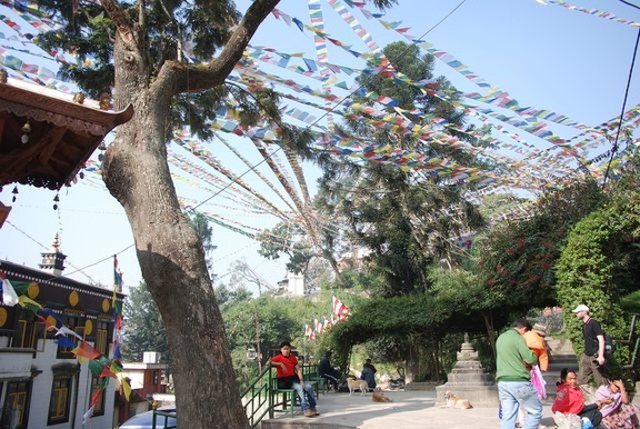 Buddhapark-Swyambhunath-Stupa 15