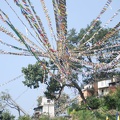 Buddhapark-Swyambhunath-Stupa 51
