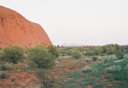 Ayers Rock115