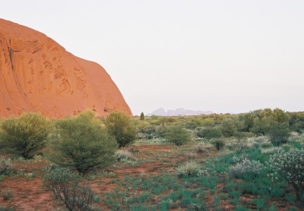 Ayers Rock118