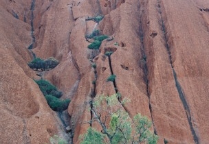 Ayers Rock125