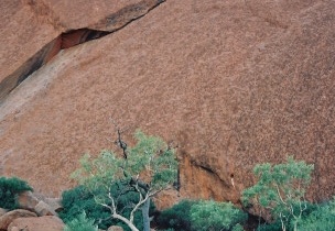 Ayers Rock127