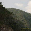 Great Ocean Road081