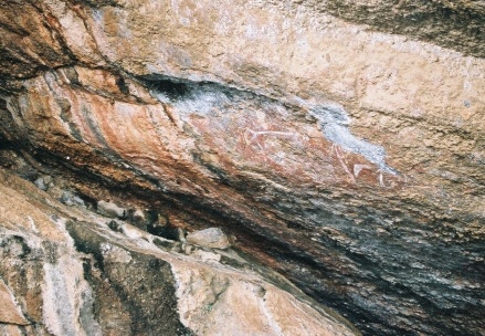 Kakadu NP091