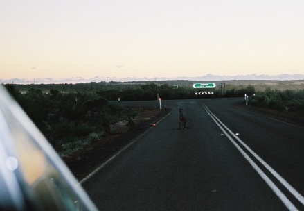 Kangaroo Island55