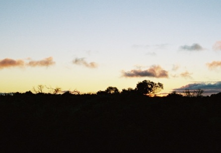 Kangaroo Island56