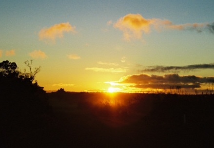 Kangaroo Island60