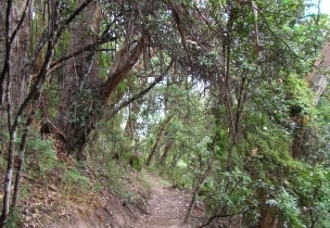 Shelly Beach019