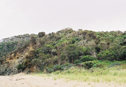 Shelly Beach047