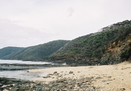 Shelly Beach048