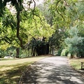 Sydney055