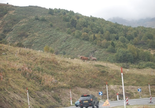 Andorra 18
