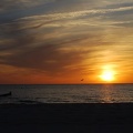 Ostsee-2008 0460