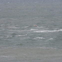 Atlantikkueste Normandie - Frankreich Kurzurlaub 2011