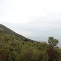 Gibraltar 37