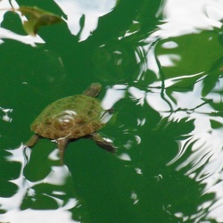 Zaros mit See