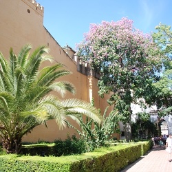 Der Alcazar