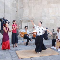 Flamencotaenzerinen