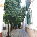 Sevilla 05