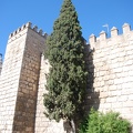 Sevilla 08