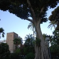 Sevilla 20