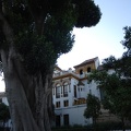 Sevilla 21