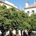 Sevilla 28