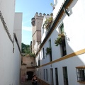 Sevilla 31
