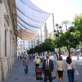 Sevilla 36