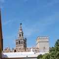 Sevilla 41