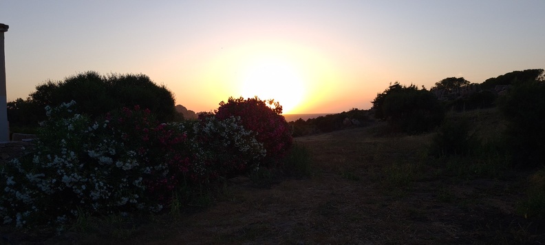 2023-07-25 20-36-04-02_samsung.jpg