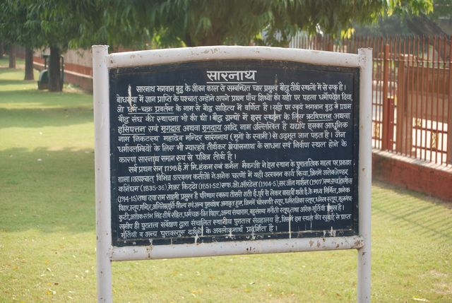 Sarnath 12