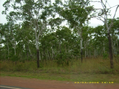 Kakadu_NP002.JPG