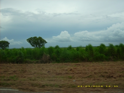 Kakadu NP004