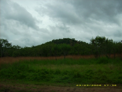 Kakadu NP008