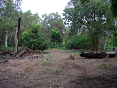 Kakadu NP022