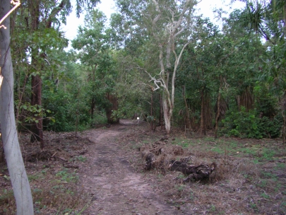 Kakadu NP023