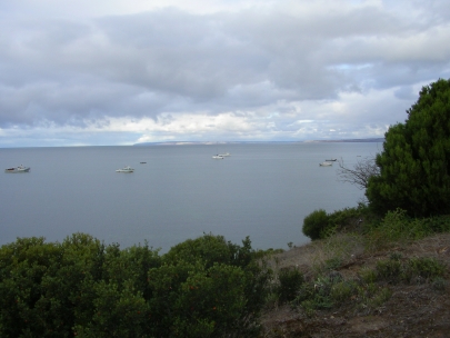 Kangaroo Island22