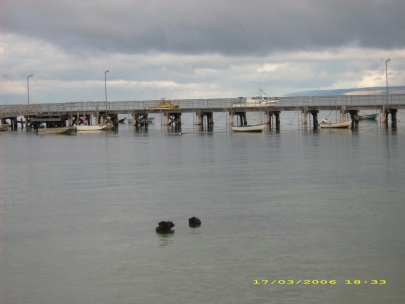 Kangaroo Island29