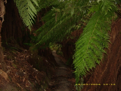 Shelly Beach006