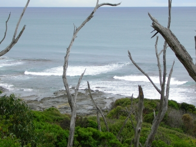 Shelly Beach022