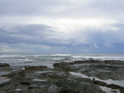 Shelly Beach035