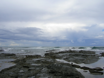 Shelly Beach036