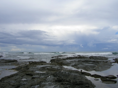 Shelly Beach037