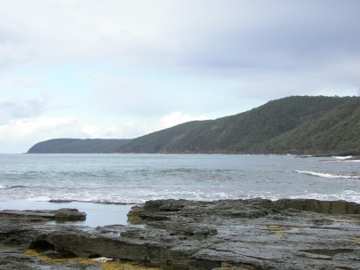 Shelly Beach038
