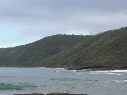 Shelly Beach041