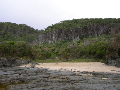 Shelly Beach042